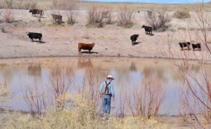 Shallow dirt tank - water reservoir - on Twin Buttes Ranch